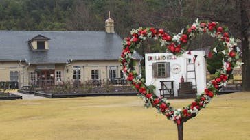 淡路ファームパーク イングランドの丘に投稿された画像（2023/1/16）