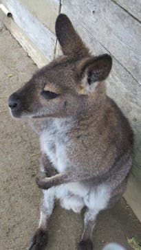 淡路ファームパーク イングランドの丘に投稿された画像（2023/1/16）