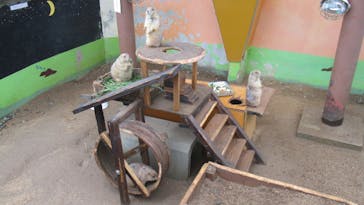 淡路ファームパーク イングランドの丘に投稿された画像（2023/1/16）