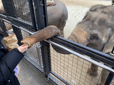 那須サファリパークに投稿された画像（2023/1/16）