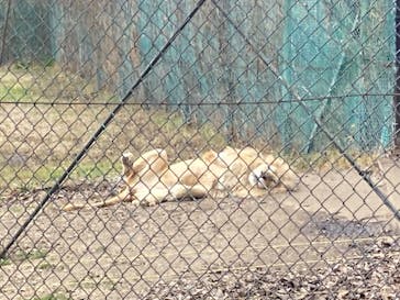 那須サファリパークに投稿された画像（2023/1/16）