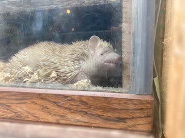 那須サファリパークに投稿された画像（2023/1/16）