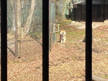 那須サファリパークに投稿された画像（2023/1/16）