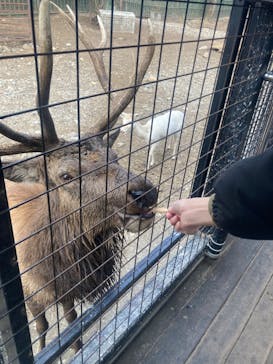 那須サファリパークに投稿された画像（2023/1/16）