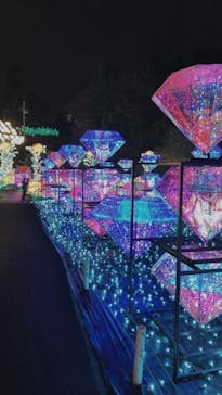 伊豆ぐらんぱる公園に投稿された画像（2023/1/16）