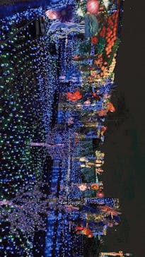 伊豆ぐらんぱる公園に投稿された画像（2023/1/16）