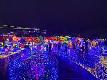 伊豆ぐらんぱる公園に投稿された画像（2023/1/16）