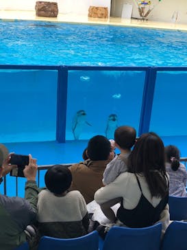 伊豆・三津シーパラダイスに投稿された画像（2023/1/16）
