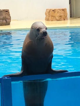 伊豆・三津シーパラダイスに投稿された画像（2023/1/16）