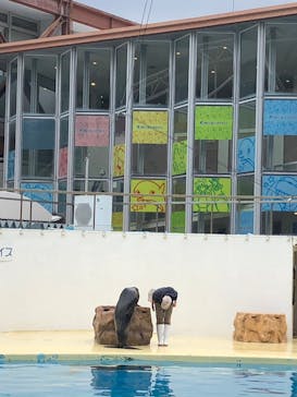 伊豆・三津シーパラダイスに投稿された画像（2023/1/16）