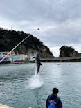 下田海中水族館に投稿された画像（2023/1/17）