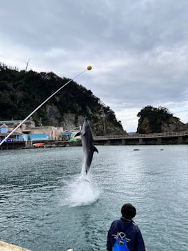 下田海中水族館に投稿された画像（2023/1/17）