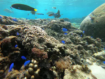 武藤潜水に投稿された画像（2023/1/17）