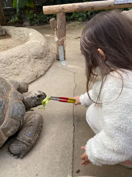 神戸どうぶつ王国に投稿された画像（2023/1/17）