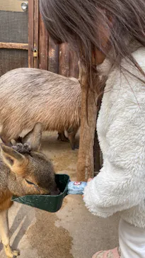 神戸どうぶつ王国に投稿された画像（2023/1/17）