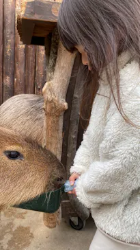 神戸どうぶつ王国に投稿された画像（2023/1/17）