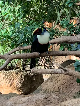 神戸どうぶつ王国に投稿された画像（2023/1/17）