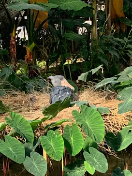 神戸どうぶつ王国に投稿された画像（2023/1/17）