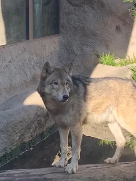 神戸どうぶつ王国に投稿された画像（2023/1/17）