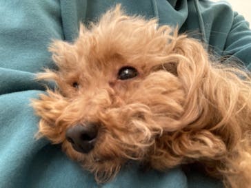 Moff アニマル カフェ イーアス 高尾店に投稿された画像（2023/1/17）