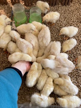 Moff アニマル カフェ イーアス 高尾店に投稿された画像（2023/1/17）