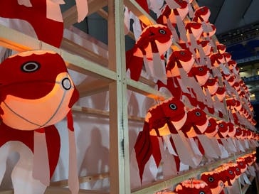 ふるさと祭り東京に投稿された画像（2023/1/17）