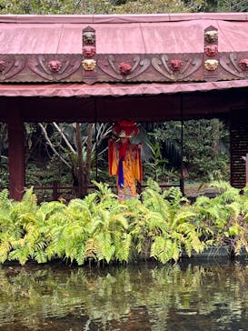 ビオスの丘に投稿された画像（2023/1/17）