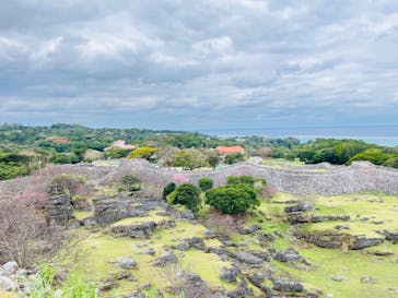 今帰仁城跡に投稿された画像（2023/1/17）