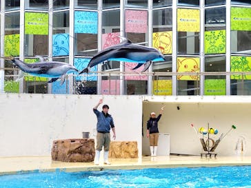 伊豆・三津シーパラダイスに投稿された画像（2023/1/17）