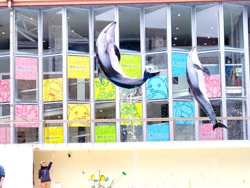 伊豆・三津シーパラダイスに投稿された画像（2023/1/17）