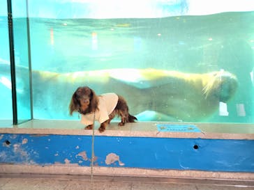 伊豆・三津シーパラダイスに投稿された画像（2023/1/17）