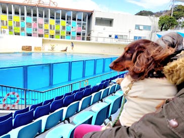 伊豆・三津シーパラダイスに投稿された画像（2023/1/17）