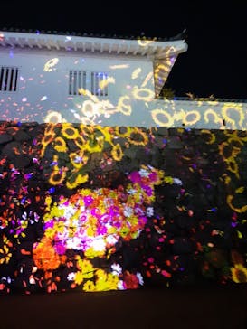 福山城400年博-FUKUYAMA CASTLE EXPO 2022- RCC開局70年 「チームラボ 福山城 光の祭」に投稿された画像（2023/1/17）