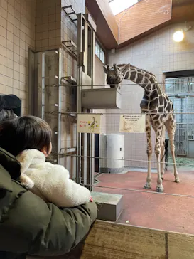 天王寺動物園に投稿された画像（2023/1/17）