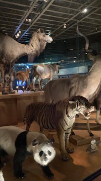 国立科学博物館に投稿された画像（2023/1/17）