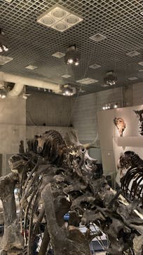 国立科学博物館に投稿された画像（2023/1/17）