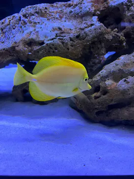 すみだ水族館に投稿された画像（2023/1/18）