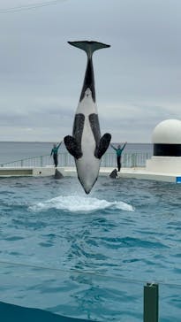 鴨川シーワールドに投稿された画像（2023/1/18）