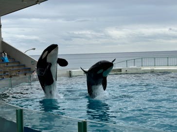 鴨川シーワールドに投稿された画像（2023/1/18）
