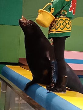 ゼロ距離水族館 伊勢シーパラダイスに投稿された画像（2023/1/18）