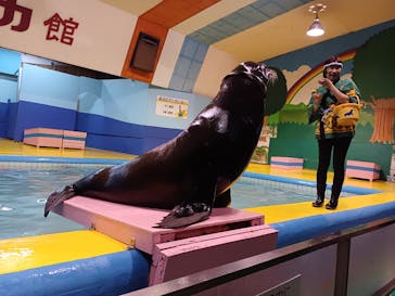 ゼロ距離水族館 伊勢シーパラダイスに投稿された画像（2023/1/18）