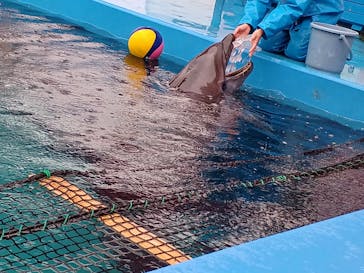 ゼロ距離水族館 伊勢シーパラダイスに投稿された画像（2023/1/18）