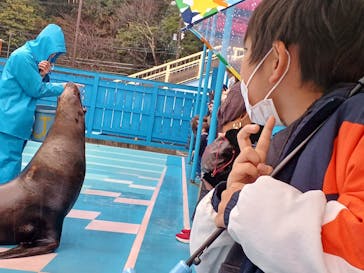 ゼロ距離水族館 伊勢シーパラダイスに投稿された画像（2023/1/18）