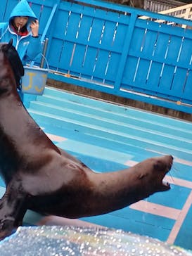 ゼロ距離水族館 伊勢シーパラダイスに投稿された画像（2023/1/18）