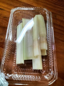 おきなわワールドに投稿された画像（2023/1/18）