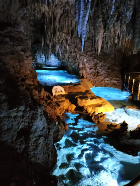 おきなわワールドに投稿された画像（2023/1/18）