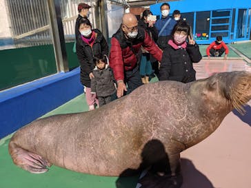 ゼロ距離水族館 伊勢シーパラダイスに投稿された画像（2023/1/18）