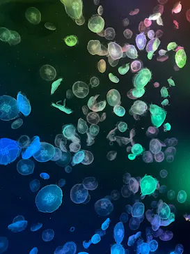 すみだ水族館に投稿された画像（2023/1/18）