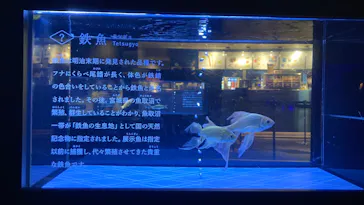 すみだ水族館に投稿された画像（2023/1/18）