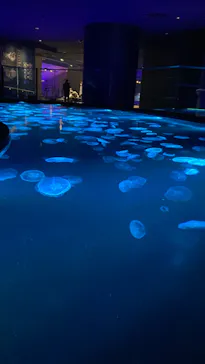 すみだ水族館に投稿された画像（2023/1/18）